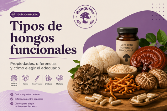 Hongos funcionales: tipos, propiedades y cómo elegir el adecuado