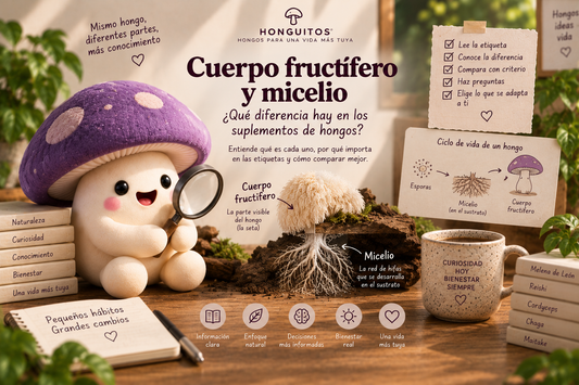 Cuerpo fructífero y micelio: ¿qué diferencia hay en los suplementos de hongos?
