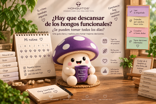 ¿Hay que descansar de los hongos funcionales? ¿Se pueden tomar todos los días?