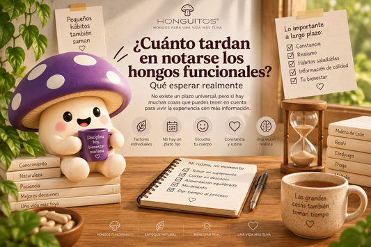 ¿Cuánto tardan en notarse los hongos funcionales? Qué esperar realmente