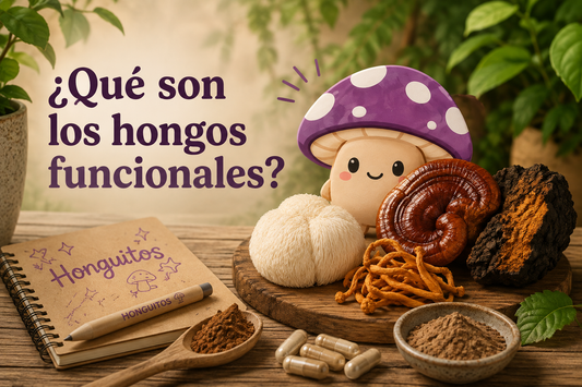 ¿Qué son los hongos funcionales? Guía para empezar