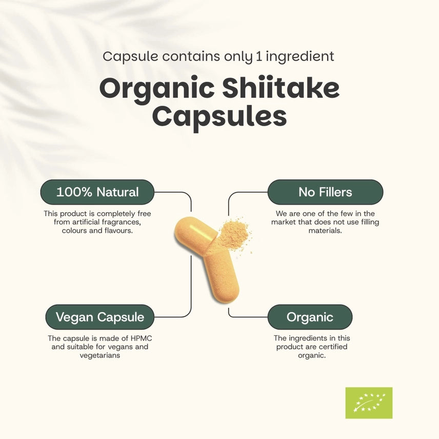 Shiitake Orgánico 500 mg – 60 Cápsulas Veganas