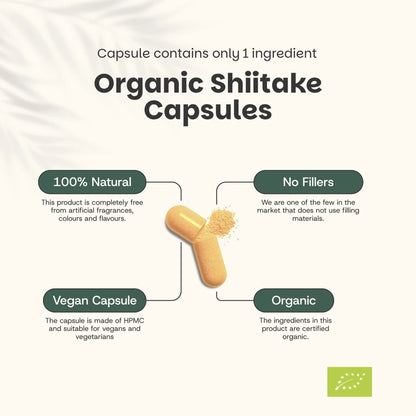 Shiitake Orgánico 500 mg – 60 Cápsulas Veganas