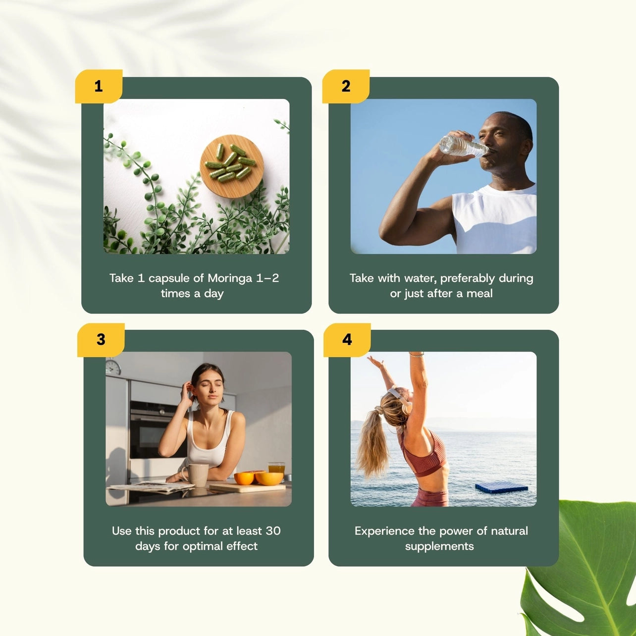 Moringa Orgánica – 60 Cápsulas Veganas