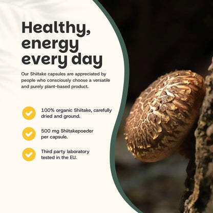 Shiitake Orgánico 500 mg – 60 Cápsulas Veganas