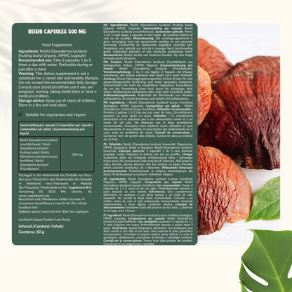 Reishi Orgánico 500 mg – 60 Cápsulas Veganas