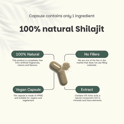 Shilajit 500 mg – 60 Cápsulas Veganas