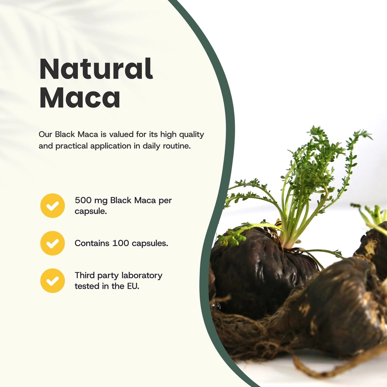 Maca Negra Orgánica 500 mg – 100 Cápsulas Veganas