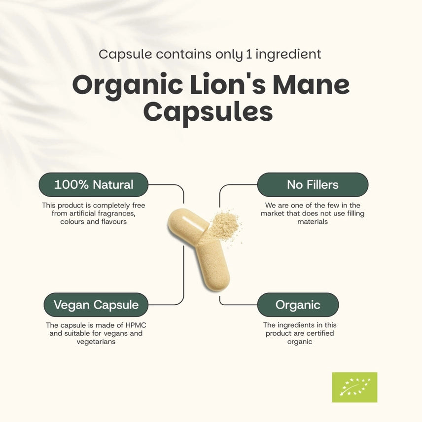 Melena de León Orgánica 500 mg – 60 Cápsulas Veganas
