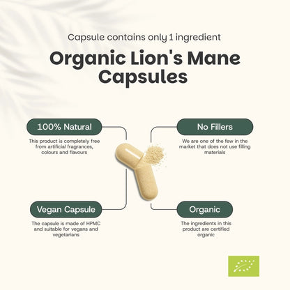 Melena de León Orgánica 500 mg – 60 Cápsulas Veganas