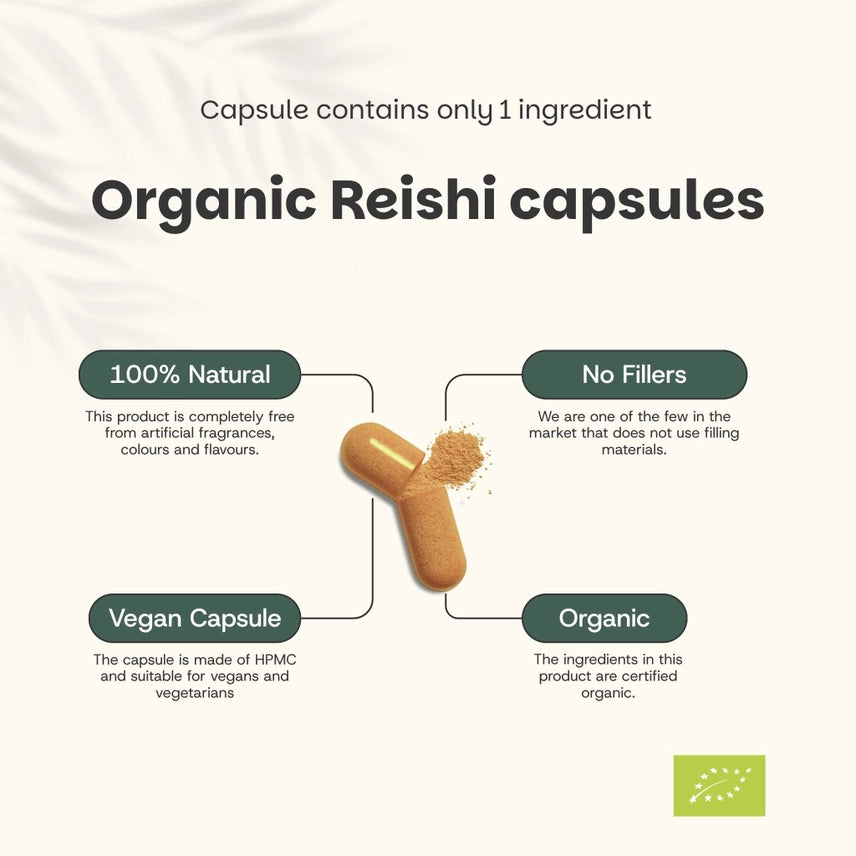 Reishi Orgánico 500 mg – 60 Cápsulas Veganas