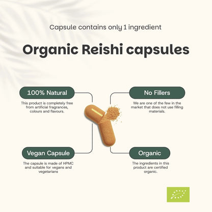 Reishi Orgánico 500 mg – 60 Cápsulas Veganas
