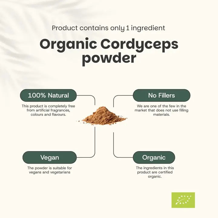 Cordyceps Orgánico en Polvo – 60 g