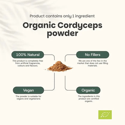 Cordyceps Orgánico en Polvo – 60 g
