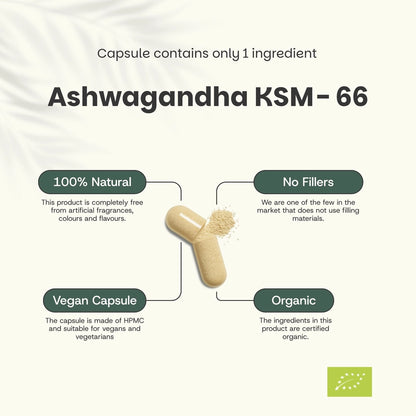 Ashwagandha KSM-66 Orgánica 500 mg – 60 Cápsulas Veganas