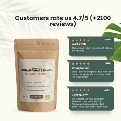 Ashwagandha KSM-66 Orgánica 500 mg – 60 Cápsulas Veganas