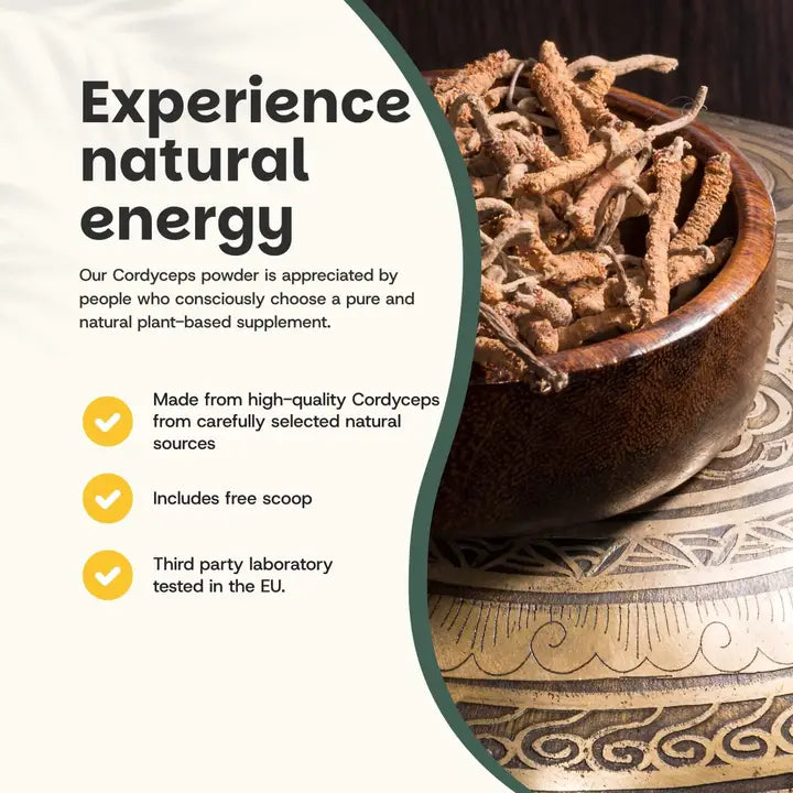 Cordyceps Orgánico en Polvo – 60 g