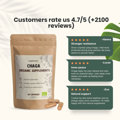 Chaga Orgánico 500 mg – 60 Cápsulas Veganas