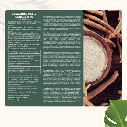 Ashwagandha KSM-66 Orgánica 500 mg – 60 Cápsulas Veganas