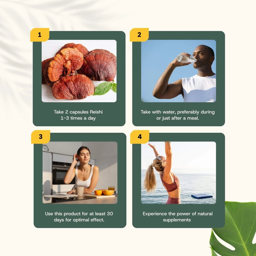 Reishi Orgánico 500 mg – 60 Cápsulas Veganas
