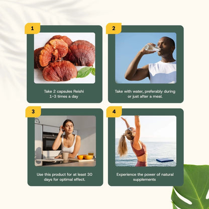 Reishi Orgánico 500 mg – 60 Cápsulas Veganas