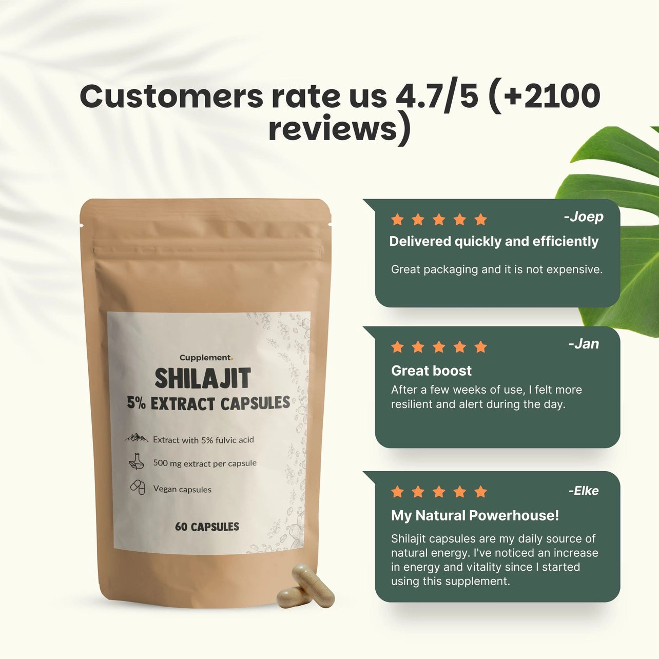 Shilajit 500 mg – 60 Cápsulas Veganas