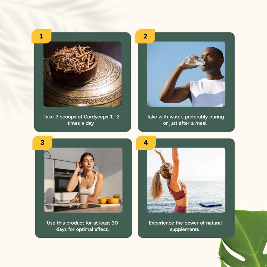 Cordyceps Orgánico en Polvo – 60 g