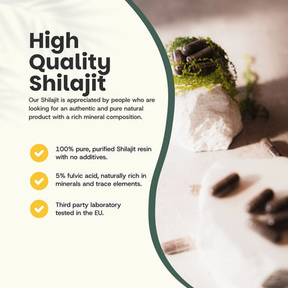 Shilajit 500 mg – 60 Cápsulas Veganas