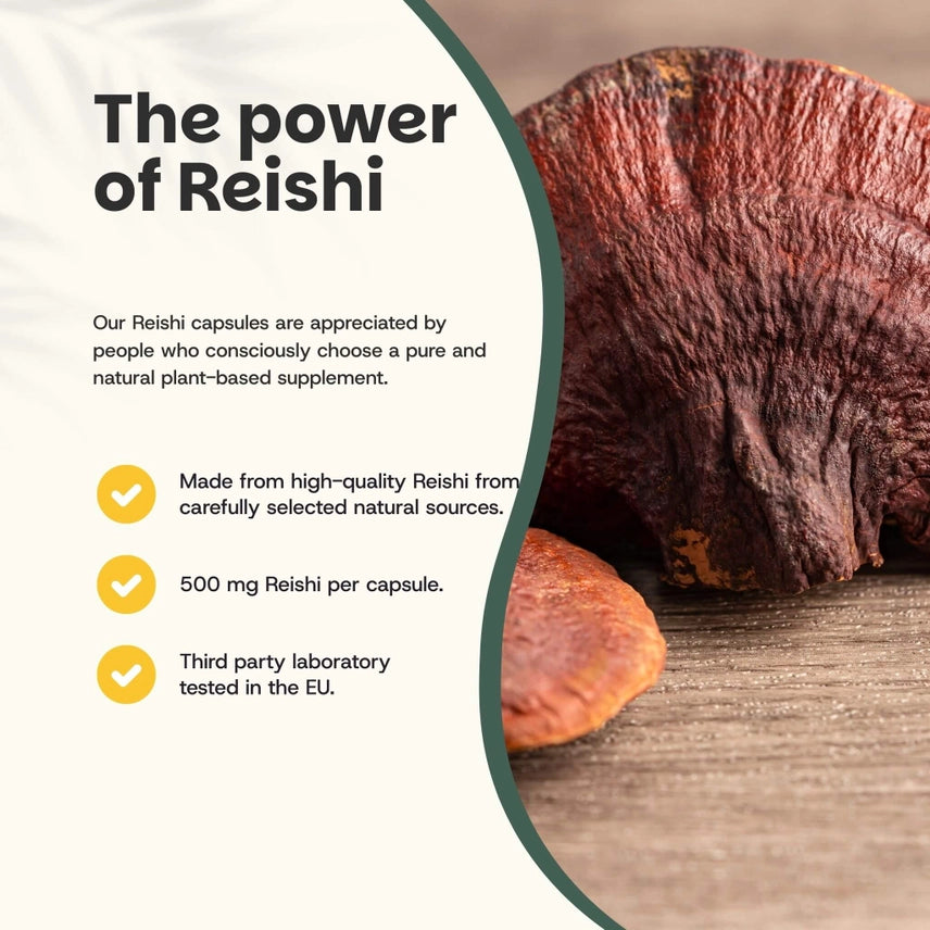 Reishi Orgánico 500 mg – 60 Cápsulas Veganas