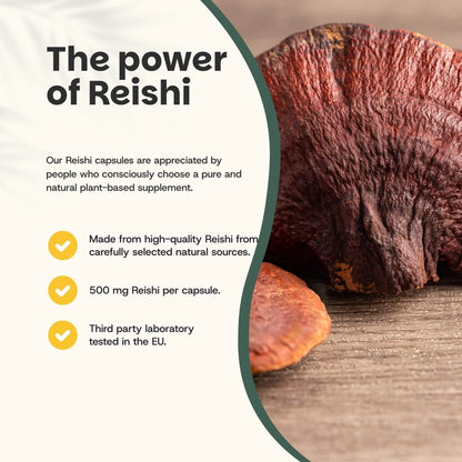 Reishi Orgánico 500 mg – 60 Cápsulas Veganas