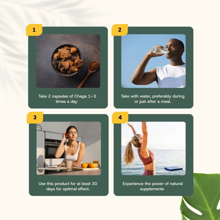 Chaga Orgánico 500 mg – 60 Cápsulas Veganas