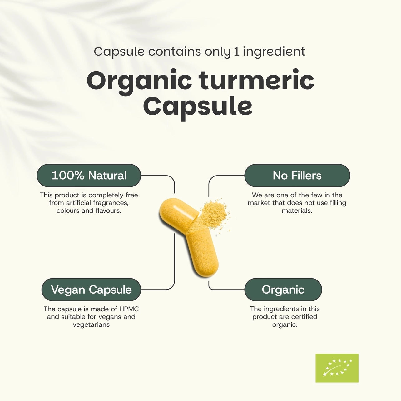 Cúrcuma Orgánica 600 mg – 60 Cápsulas Veganas