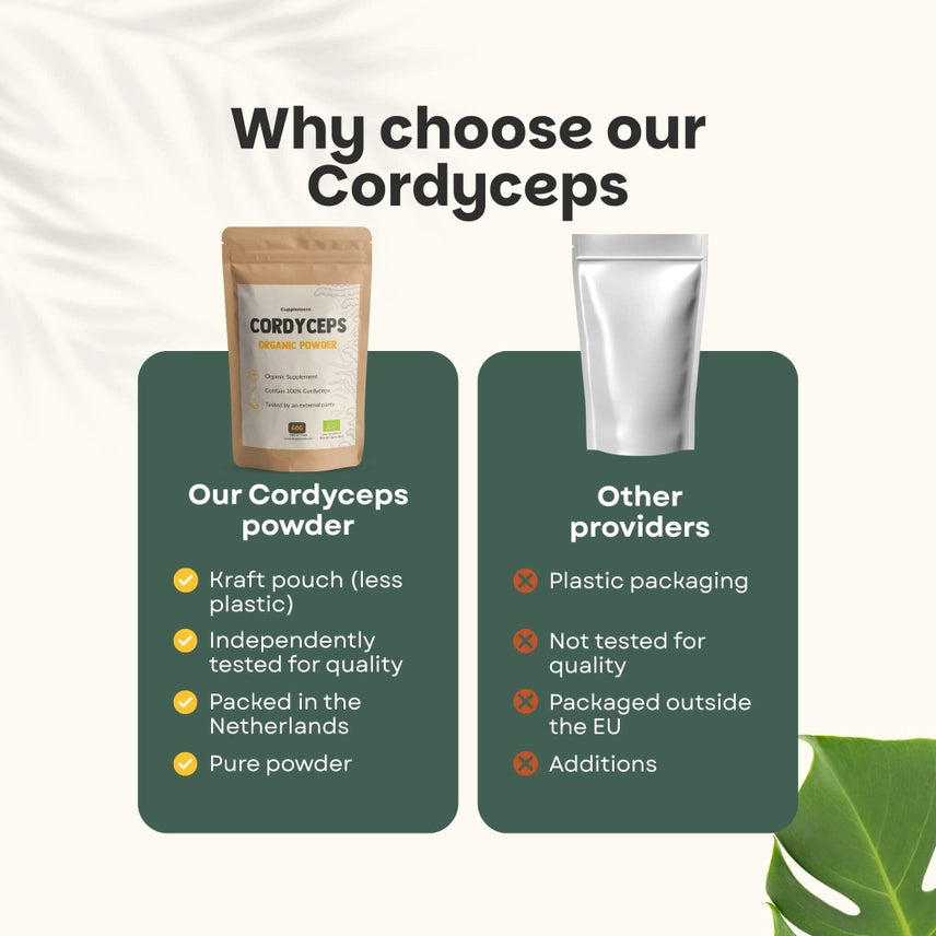 Cordyceps Orgánico en Polvo – 60 g