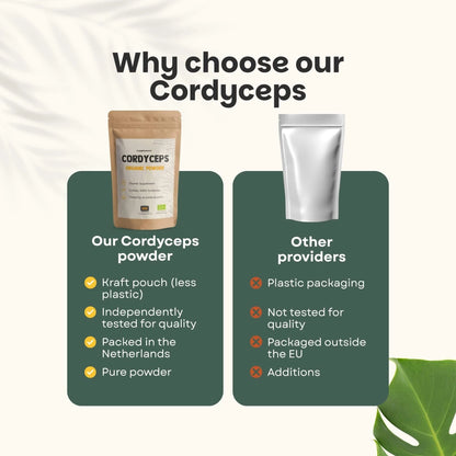 Cordyceps Orgánico en Polvo – 60 g