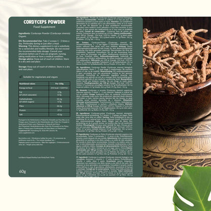 Cordyceps Orgánico en Polvo – 60 g